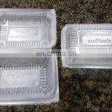 HAS VIDEO PS PP PET Disposable Plastic Food Container Machine thumbnail-4