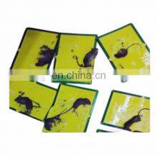 Good Quality Factory Directly Rat Sticky Trap With Lowest Price thumbnail-3