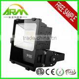 High Cost Performance 120w Flood Light With CE ETL