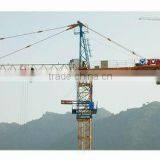 25m 100m Tower Crane Tower Hoist for Building Construction Quality Choice thumbnail-2