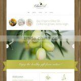 Web Designing Firms thumbnail-6