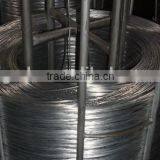 Hot Dipped Galvanized Wire