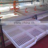 Broiler Farm for Broiler Feed Rearing thumbnail-6