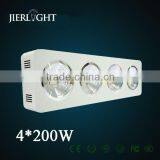 800w Cob Led Grow Light Full Spectrum thumbnail-3