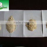 Garlic Powder thumbnail-1