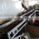 Best Quality the New Machine for Pepper to Clean the Nail thumbnail-3