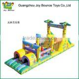 2015 Long Outdoor Adult Inflatable Obstacle Course Inflatable Games Combo for Sale