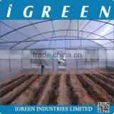 Single Tunnel Polycarbonate Sheet Vegetable Greenhouse From CHINA thumbnail-2