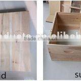 Apis Cerana Beehive thumbnail-6