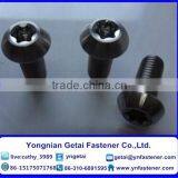 Screws With Hexalobular Slot, Round Head /Countersunk Head/Raised Countersunk Head thumbnail-2