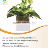 Layered Cheap Plastic Flower Pots With Water Pot thumbnail-2