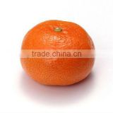 Navel Orange 1st Class Hot Sale To More Than 56 Country