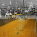 orange juice material orange sacs/pulp/concentrate,and pomelo sacs/pulp