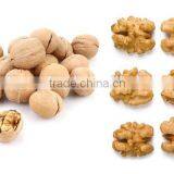 Wholesale Chinese Walnut Kernel With Marketing Price for Eating thumbnail-2