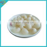 Hot selling canned lychee in light syrup 567g