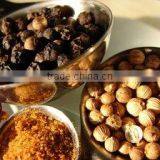 Savory And Spices thumbnail-1