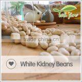 China Origin Good Quality White Kidney Beans thumbnail-2