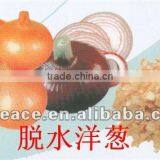 Dehydrated Onion Vegetables for Food Products thumbnail-1