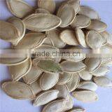 Raw Organic Pumkin Seeds Shine Skin for Sell thumbnail-3