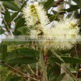 India's No. 1 Neroli Essential Oil thumbnail-4
