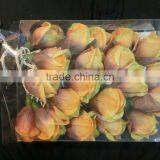 Flower String Lights thumbnail-6