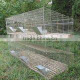 Electro Galvanized Wire Steel Pet Cage / Wire Rabbit Cage thumbnail-5