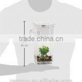 Filter Fish Tank, Plastic Fish Tank Wholesale my Fun Fish Tank thumbnail-2