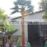 SJ12001117 Indoor Palm Tree Plant/outdoor Green Palm Plants/fan Palm Plant thumbnail-1