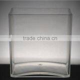 Clear Plastic Vase /planting Container Hydronic Container