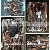 New Season China Origin Illex Squid Tentacle thumbnail-1