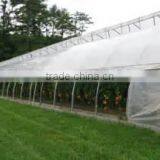 2017 Commercial Film Greenhouse With Roll Up Ventilation thumbnail-2