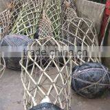 Lagerstroemia Indica Tree Different Shape Downloading thumbnail-4