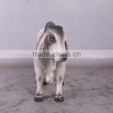 Definitive Brahman Looking Left thumbnail-2