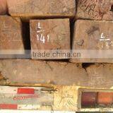 PTEROCARPUS PEDATUS PIERRE SQUARE LOGS thumbnail-1