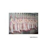 Sell Lamb Carcass thumbnail-1