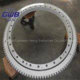 Slewing Bearing in China