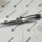 Common Rail Injector 0445120066 Injector
