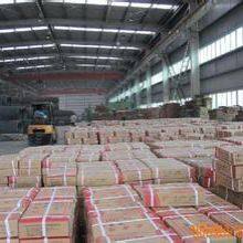 Stainless Steel Electrode thumbnail-5