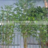 2013 Hot Selling Artificial Outdoor Green Bamboo Plants thumbnail-1