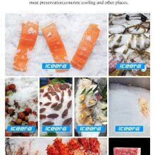 Commercial Flake Ice Machine 200KG Automatic Fast Ice Making Machine thumbnail-5