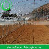 3.5m Height Tunnel Greenhouse for Growers thumbnail-1