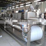 300kg/h Center Filled Fondant Depositing Line