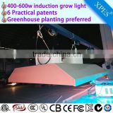 High Efficiency Lumen bi-spectrum induction grow light magnetic 400/500/600watt for medicinal plants