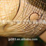 Remote Control Dinosaur thumbnail-3