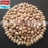 Red Skin Peanut Kernel