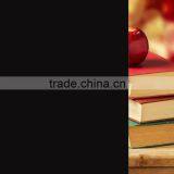Self-Adhesive Feature and PET Material Decorative Films for Windows,privacy Protection Film thumbnail-5