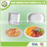 Disposable Plate With Sugarcane Pulp thumbnail-1