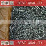 China Best Quality Canton Fair Common Nail thumbnail-1