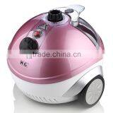 QZ03-B Professional Vertical High Pressure Garment Steamer Iron thumbnail-1