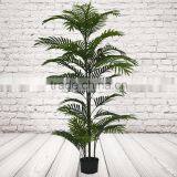 Artificial Decorative Acera Palm thumbnail-6